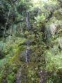 Madeira0807.JPG